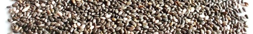 ЧИА - отборные семена чиа купить в Москве с доставкой по России (495) 510-30-26