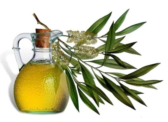 Масло чайного дерева. Косметический крем «Фитофлорис»