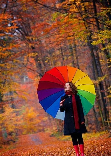 Зонт-трость Радуга,16 спиц, 16 цветов купить в Москве. Доставка по России.